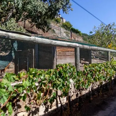 Inside Douro Covelas (Porto)